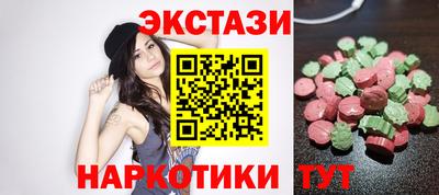 гидропоника Сланцы