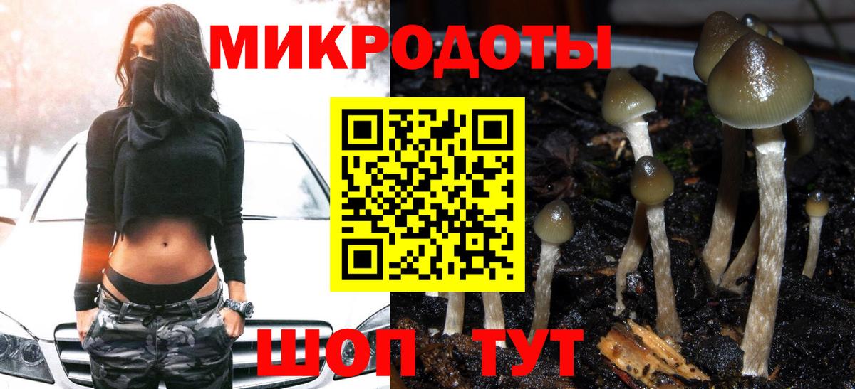Саянск  Галлюциногенные грибы Psilocybine cubensis  Галлюциногенные грибы Cubensis  Вход с VPN 