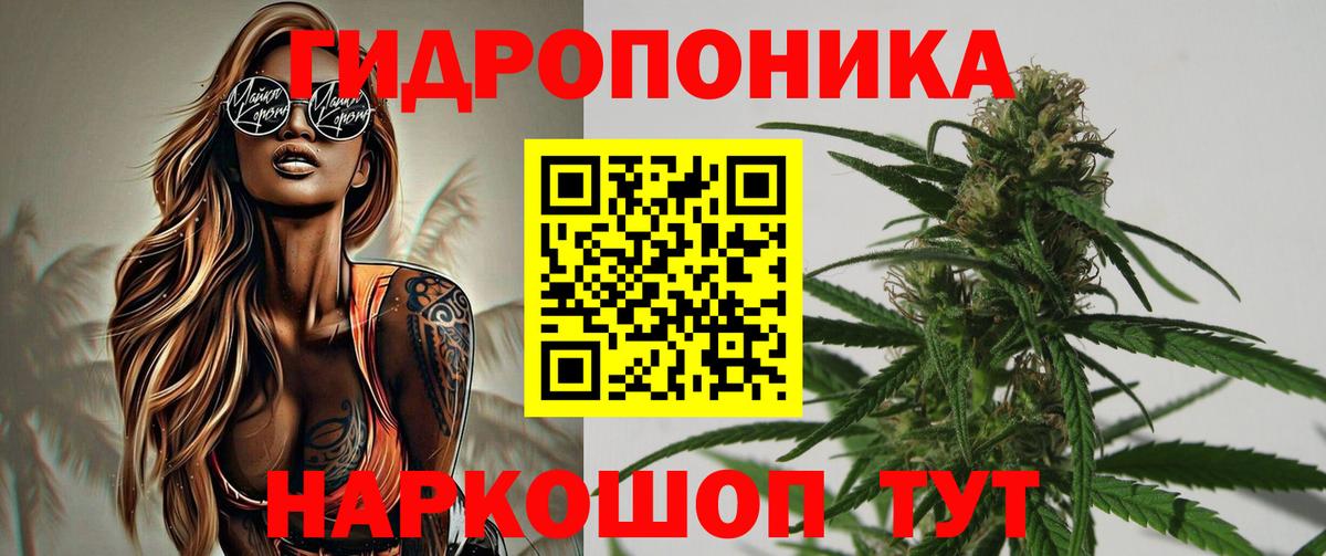 Бошки марихуана OG Kush Саянск